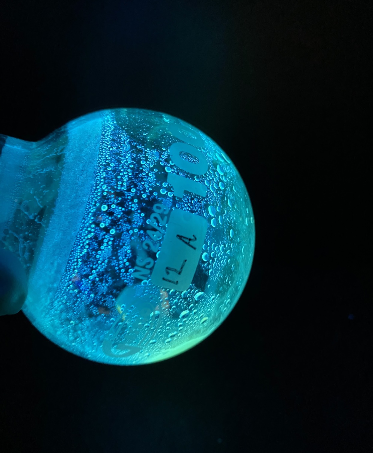 Fluorescent