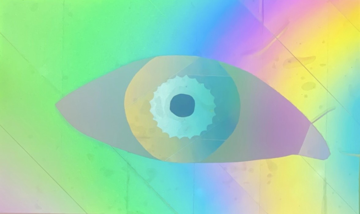 Rodaspecs lens detail