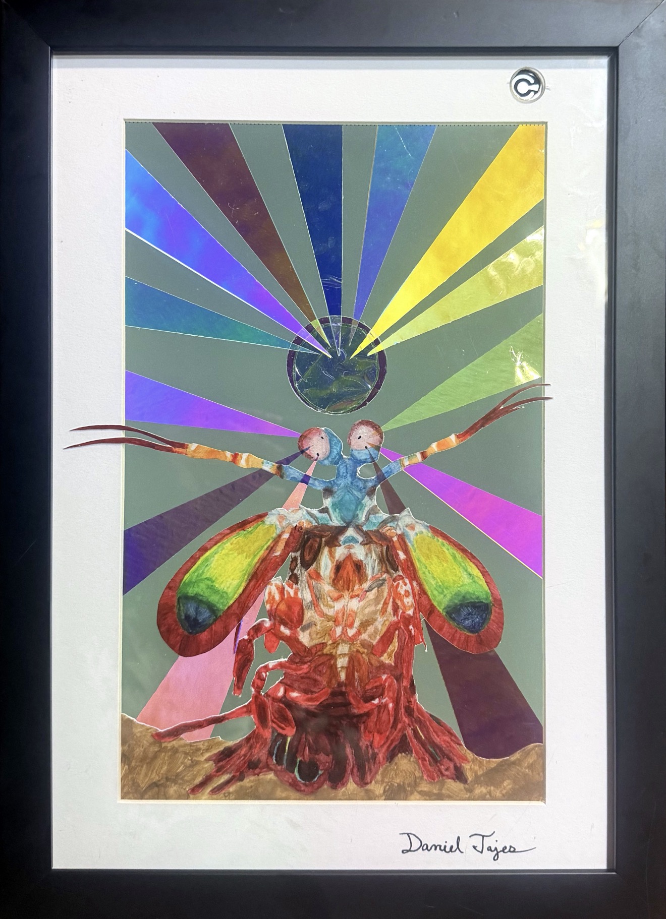 Artwork — through polarized glasses